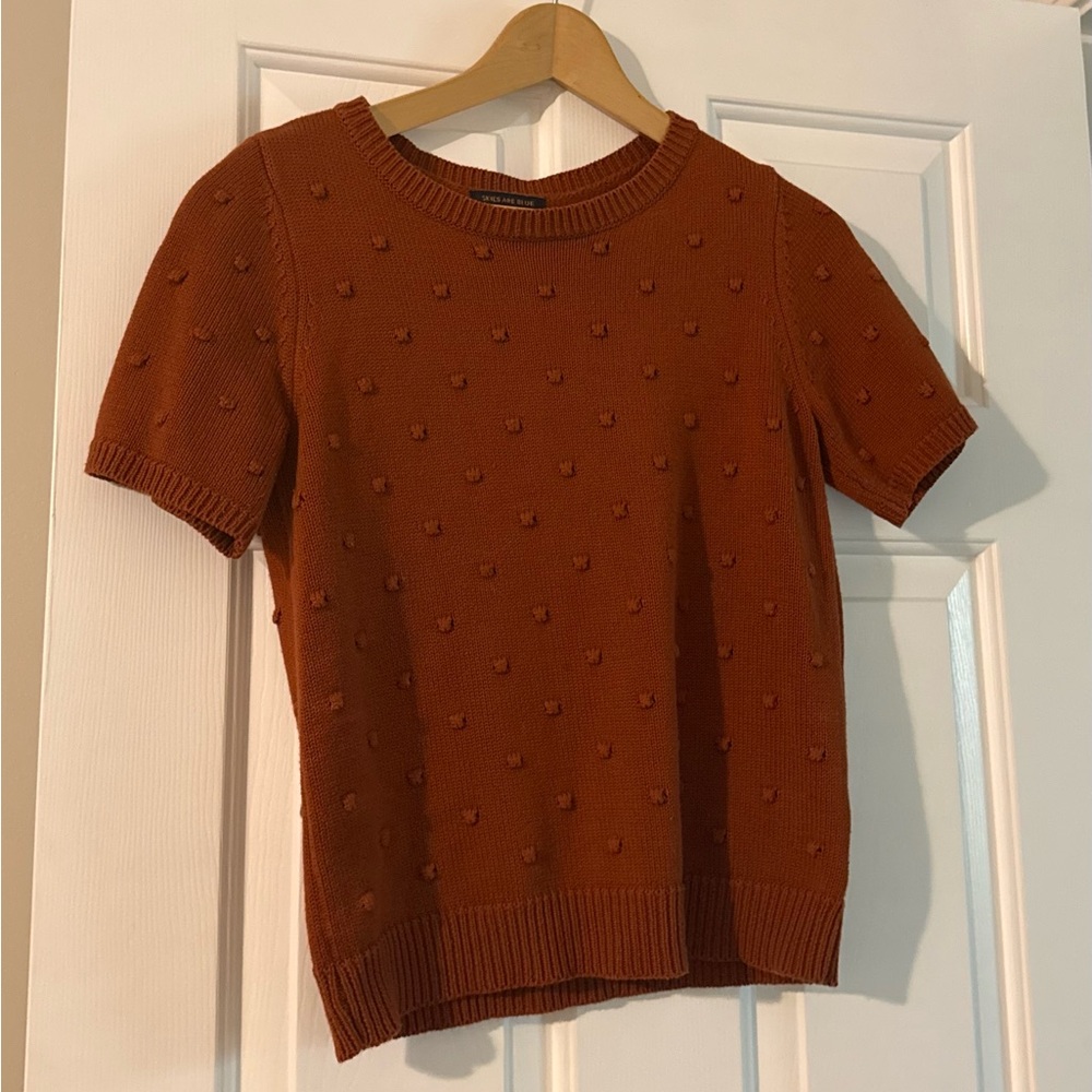 Skies Are Blue Rust Textured Knit Top
